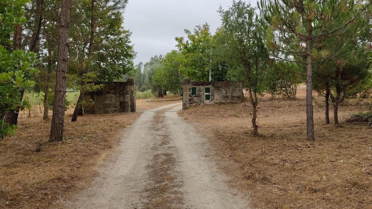 Quinta Da Pedra Mija Pensionat Santar Eksteriør billede