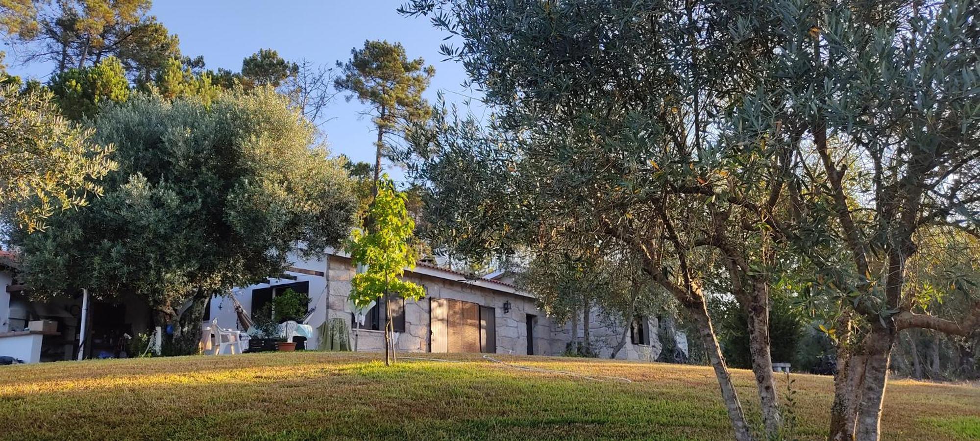 Quinta Da Pedra Mija Pensionat Santar Eksteriør billede