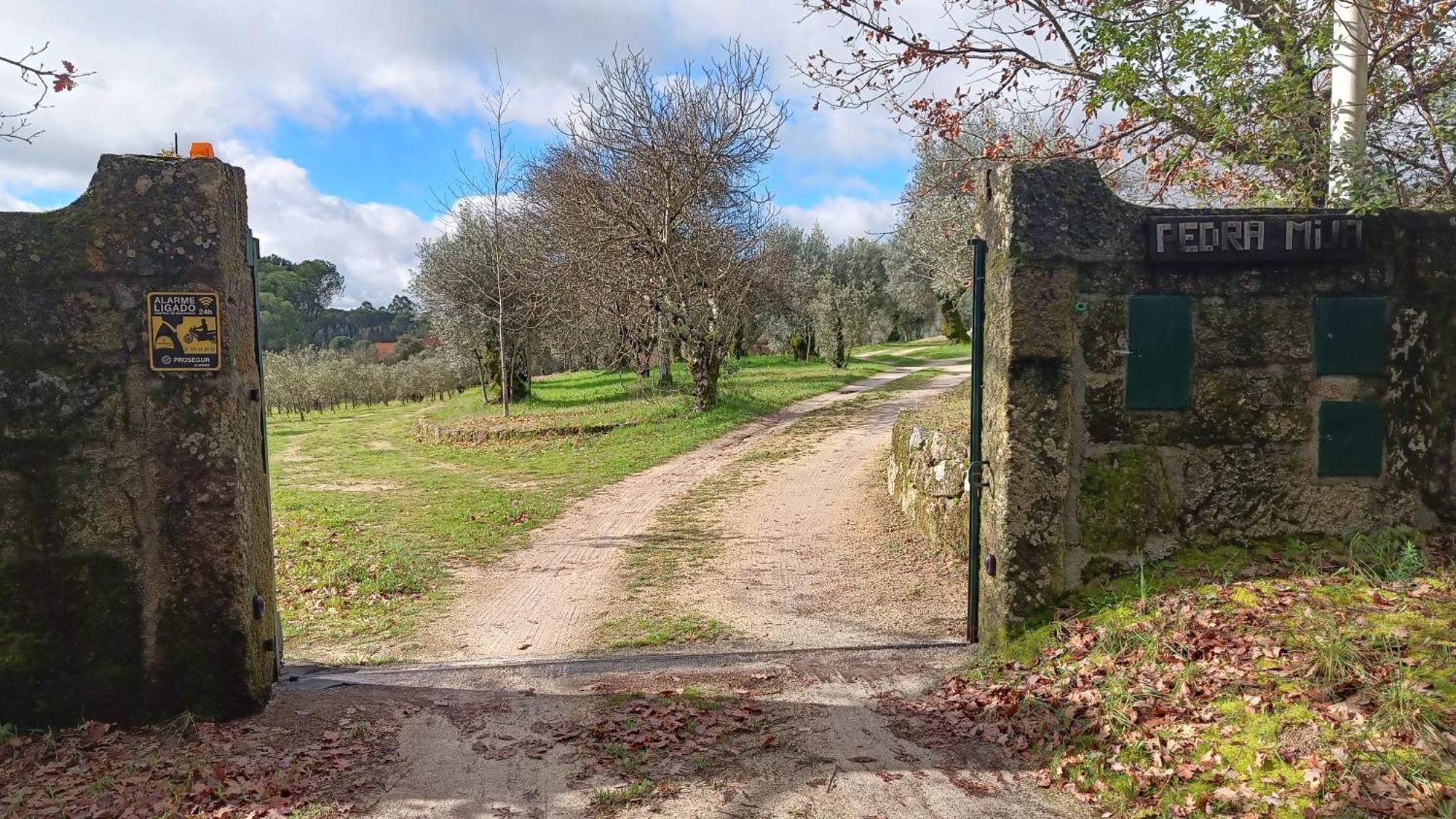 Quinta Da Pedra Mija Pensionat Santar Eksteriør billede