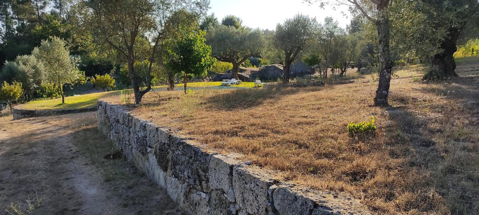 Quinta Da Pedra Mija Pensionat Santar Eksteriør billede
